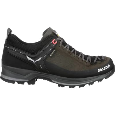 Wandel schoenen dames Salewa Mtn Trainer 2 Gtx