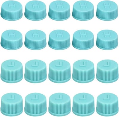 Dailygoods- Ventieldop 20 Stuks - Auto Ventieldoppen - R134a Airconditioning - Universele Toepassing - Hoogwaardige Silica - Waterdicht en Slijtvast