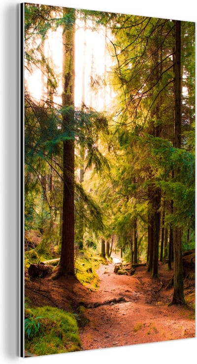 Aluminium schilderij 120x180 cm - Wanddecoratie metaal - Bos - Pad - Bomen - Groen - Zon - Natuur - Metalen muurdecoratie woonkamer - Decoratie industrieel - Foto op dibond - Industriële accessoires slaapkamer