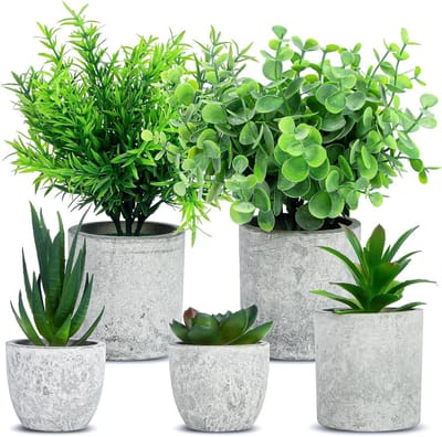 Kunstplanten 5 stuks - decoratieve plastic planten - onderhoudsvrij - ideaal voor binnen en buiten - SnelShoppen