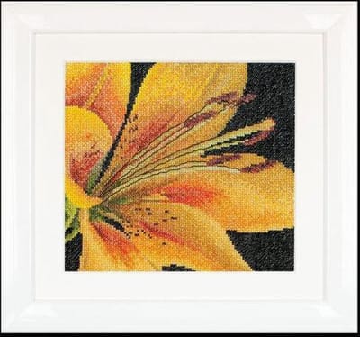 Thea Gouverneur - Borduurpakket met telpatroon - 486A - Voorgesorteerde DMC Garens - Lelie - Aida - 15 cm x 14 cm - DIY Kit