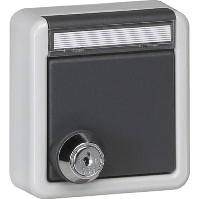 Gira IP44 Schuko Stopcontact Met Slot En Labelframe - 456735