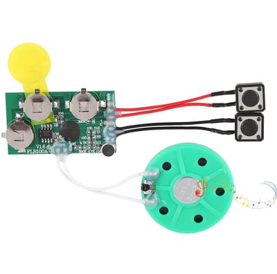 Dailygoody - Spraakmodule - Doe-het-zelf Wenskaarten - 120 Seconden Muziekgeluid - Compact - Voice Recorder - Voor Creatieve Groeten - Geschikt voor W