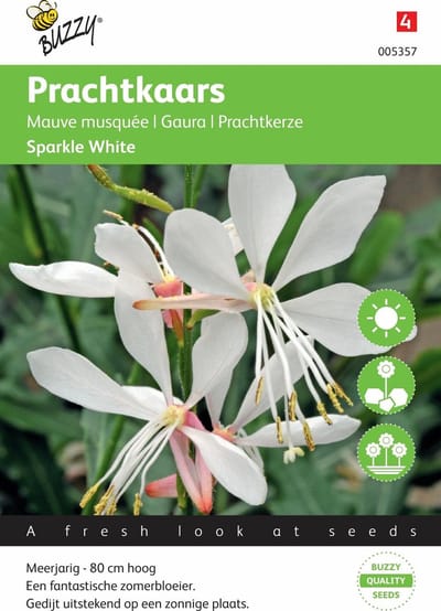 Buzzy® Gaura lindheimerii Sparkle White