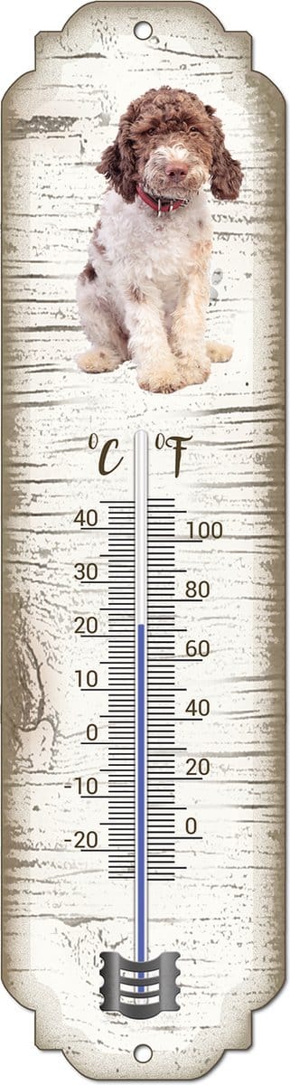 Thermometer: Lagotto Romagnolo | Hondenras | Temperatuur binnen en buiten | -25 tot +45C