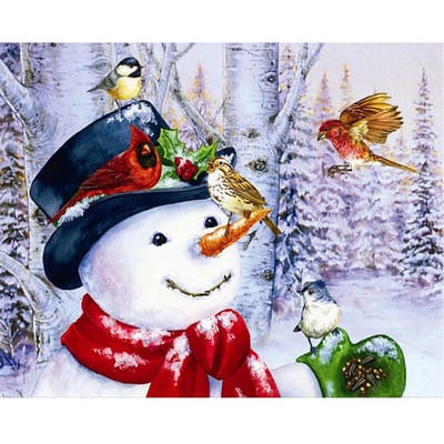 5D DIY Diamond schilderij vogel sneeuwpop borduren kruissteek Strass mozaïek Home Decor 20X30CM gray