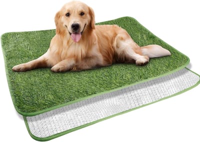 SVN® Hondentoilet Kunstgras - Geurafstotend - Honden Wc Outdoor & Indoor - Groen - 70cm x 50cm x 2cm