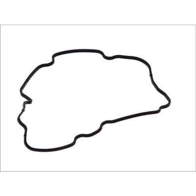 Pakking, hoofdframe koplamp BOSCH 2 420 206 014
