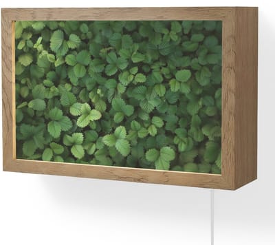 Wandlamp 30x20 cm - Oplaadbaar - Groen - Bladeren - Kartel - Zonlicht - Wandlampen binnen woonkamer - Slaapkamer lamp met kabel - Decoratieve nachtlamp - Vloerlamp snoer