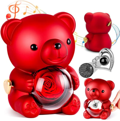 Dailygoods- Rozen Teddybeer Rood - Cadeaubox - Infinity Rozenbox - Geschenk voor Vrouwen - Jubileum/Verjaardag - Perfect voor Valentijnsdag - Pluchebeer