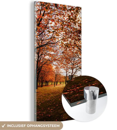 MuchoWow® Glasschilderij 20x40 cm - Schilderij acrylglas - Herfst - Herfstbladeren - Natuur - Foto op glas - Schilderijen