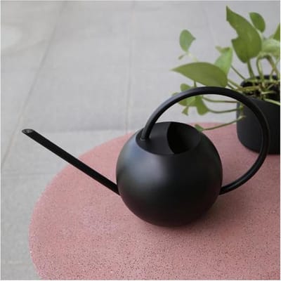 Gieter Roestvrij Staal - Waterplant Pot - Planten Water Geven - Lange Nauwe Tuit - 1000 ml - Zwart