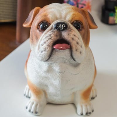 Leuke Hond Spaarpot Geldboxen voor Kinderen Verjaardagscadeau Geldspaardoos Muntverzamelaar Opbergkoffer Bureau Ornament Woondecoratie