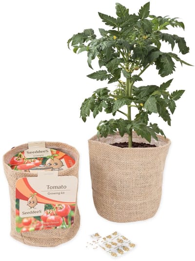Green gift Jutezak met potgrond en tomatenzaadjes SeeddeeS