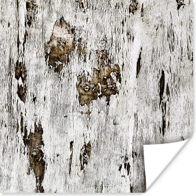 Poster Berk - Wit - Hout - 100x100 cm XXL