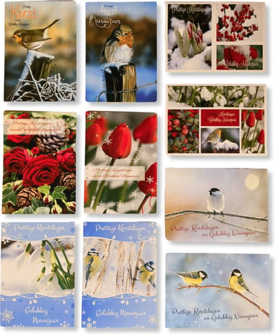 50 Luxe Kerst- en Nieuwjaarskaarten - 9,5x14cm - 10 x 5 dubbele kaarten met enveloppen - Letters