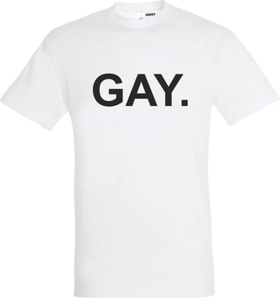 T-shirt Gay. | Regenboog vlag | Gay pride kleding | Pride shirt | Wit | maat XXL