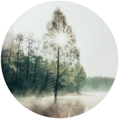 Glasschilderij Zon door de boom - Ø 70 - Glas - REINDERS
