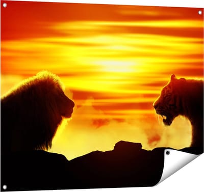 Gards Tuinposter Leeuw en Tijger - Silhouet - Zonsopkomst - 100x80 cm - Tuindoek - Tuindecoratie - Wanddecoratie buiten - Tuinschilderij