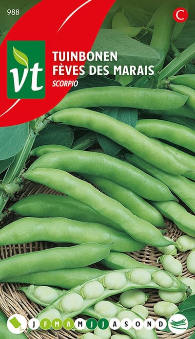 Bonen tuinbonen Scorpio - Een echte delicatesse voor tuinliefhebbers