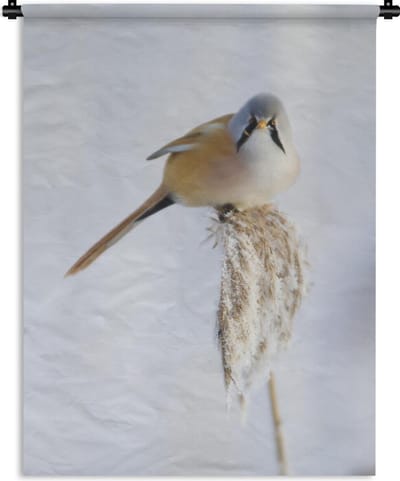 Wandkleed Baardman - Beeld van een baardman tijdens de winter met een lichte achtergrond Wandkleed katoen 60x80 cm - Wandtapijt met foto