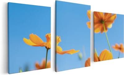 Artaza Canvas Schilderij Drieluik Oranje Cosmea Bloemen - 120x60 - Foto Op Canvas - Canvas Print