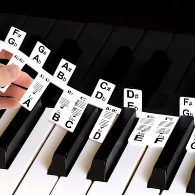 Pianonotities Gids - Toetsenbord Stickers - Muziek Leren - Extra Groot Lettertype - 88 Toetsen - Zwart Wit