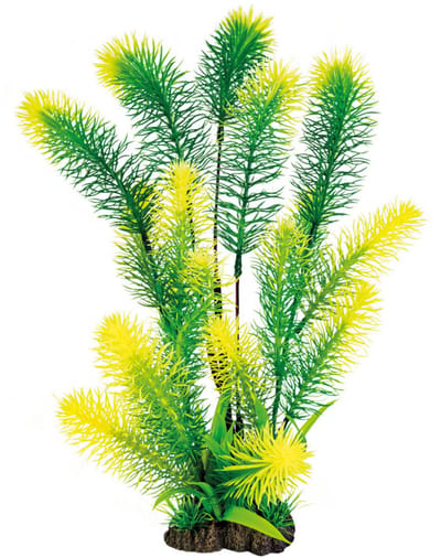 Superfish Art plant Myriophyllum XL