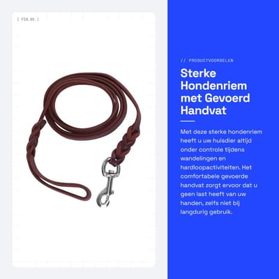 Dailygoods- Hondenriem Sterk - Hondenriem 2,1 meter - Comfortabel Gevoerd Handvat - Hondenhalsband Bevestiging - Duurzaam Leer - Geschikt voor Middelgrote Honden - Hondentuig