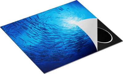 Chefcare Inductie Beschermer Zwerm Vissen in de Oceaan - 60x50 cm - Afdekplaat Inductie - Kookplaat Beschermer - Inductie Mat