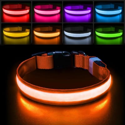 SnelShoppen - LED Hondenhalsband Oplaadbaar - Flitsende LED Hondenhalsband 7 Kleuren Veranderbaar - Waterdicht en Aanpasbaar voor Kleine, Medium en Gr