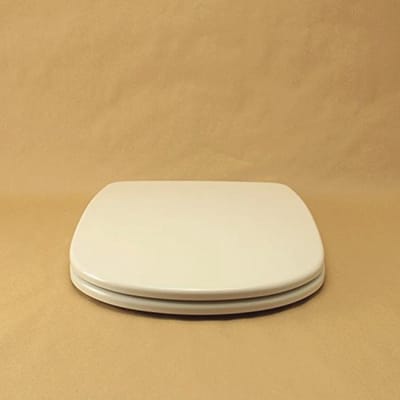 Witte WC-bril met Soft Close en RVS Scharnieren