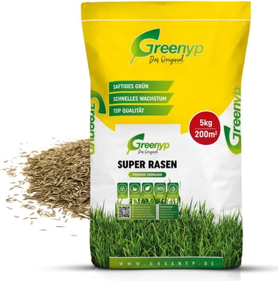 Dailygoods- Graszaad Herstel - Snelkiemend - Ziekteresistent - Speelgazon - 5 kg - Voor 200 m² - Dichtgroeiend - Siergazon