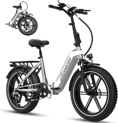ECORUSH Elektrische Fiets ECO R2 - 20*4.0 Inch Fat Tire City Commuter EBike met Afneembare 48V 10.4Ah Lithium Batterij - Mountain E-Bike met 250W Motor - 7 Versnellingen - IP54 Waterdicht