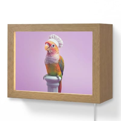 Wandlamp 20x15 cm - Oplaadbaar - Papegaai - Koksmuts - Pilaar - Vogel - Wandlampen binnen woonkamer - Slaapkamer lamp met kabel - Decoratieve nachtlamp - Vloerlamp snoer
