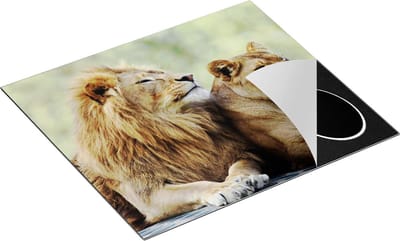 Chefcare Inductie Beschermer Leeuw en Leeuwin in het Groene Wild - 60x50 cm - Afdekplaat Inductie - Kookplaat Beschermer - Inductie Mat
