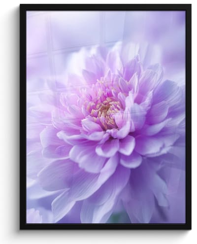 Poster in lijst - Fotolijst 50x70 cm - Posters - Paars - Dahlia - Dromerig - Posterlijst zwart - Decoratie - Wanddecoratie woonkamer - Muurdecoratie slaapkamer