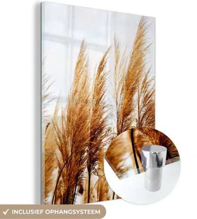 MuchoWow® Glasschilderij 30x40 cm - Schilderij acrylglas - Pampasgras - Zon - Gras - Foto op glas - Schilderijen