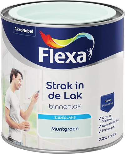 Flexa Strak in de Lak - Watergedragen - Zijdeglans - muntgroen - 0,25 liter