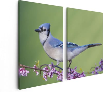 Artaza Canvas Schilderij Tweeluik Blauwe Gaai Vogel Op Een Tak - Kleur - 80x60 - Foto Op Canvas - Canvas Print