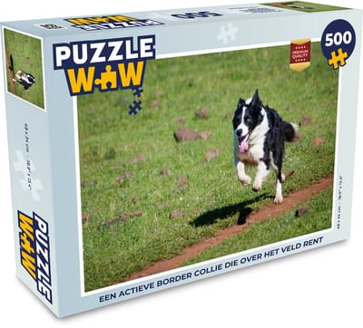 Puzzel Een actieve border collie die over het veld rent - Legpuzzel - Puzzel 500 stukjes