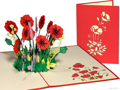 Popcards popupkaarten – Verjaardagskaart Bloemen Rozen Klaprozen Papaver Vriendschap Felicitatie Beterschap Troost pop-up kaart 3D wenskaart