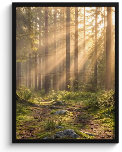 Poster in lijst - Fotolijst 60x80 cm - Posters - Bos - Zonlicht - Gras - Posterlijst zwart - Decoratie - Wanddecoratie woonkamer - Muurdecoratie slaapkamer