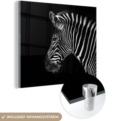 MuchoWow® Glasschilderij 50x50 cm - Schilderij acrylglas - Zebra - Wilde dieren - Zwart - Foto op glas - Schilderijen