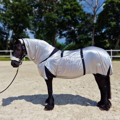 Paardenvliegendeken York Eczéma