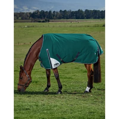 Outdoor paardendeken Weatherbeeta Comfitec Plus Dynamic 0g