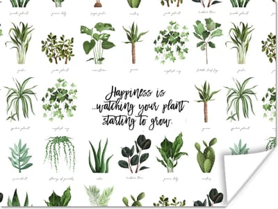 Poster Quotes - Happiness is... watching your plant starting to grow - Spreuken - Planten - 160x120 cm XXL