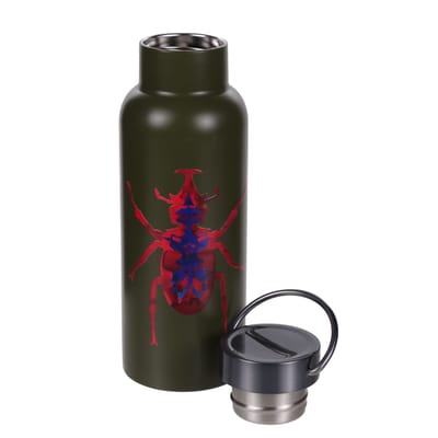 Regatta Christian Lacroix Vaccares Kever 500ml flacon (Donkere Khaki)