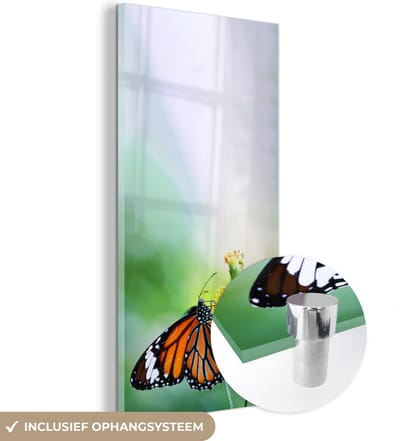MuchoWow® Glasschilderij 20x40 cm - Schilderij acrylglas - Vlinder - Bloemen - Insecten - Foto op glas - Schilderijen