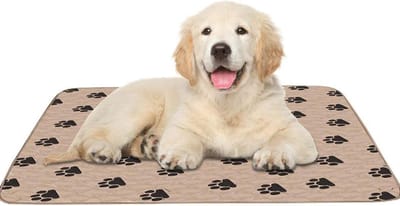 Wasbare Incontinentiepad voor Honden, 4-Lagig Absorberend, Waterdicht en Geschikt voor Puppy’s, 80 x 90 cm, Bruin, Hondentoilet Mat